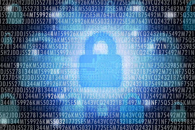 Is Your Company Safe from Data Breaches?